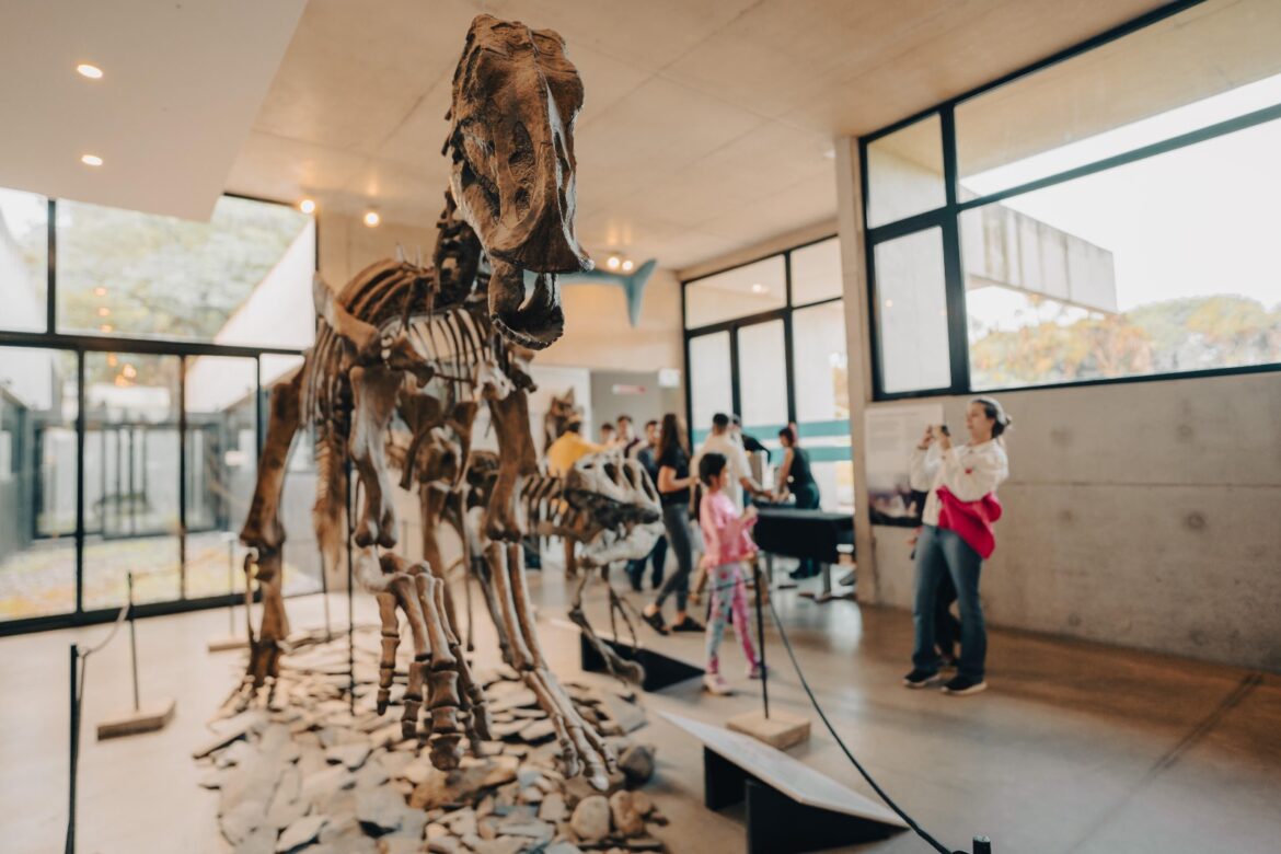 Festivales, conciertos y espectáculos destacados: la agenda de esta semana en los espacios culturales de Mar del Plata