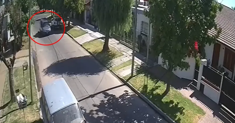 Atropelló a una perra en Lomas y la dejó abandonada: quedó filmado
