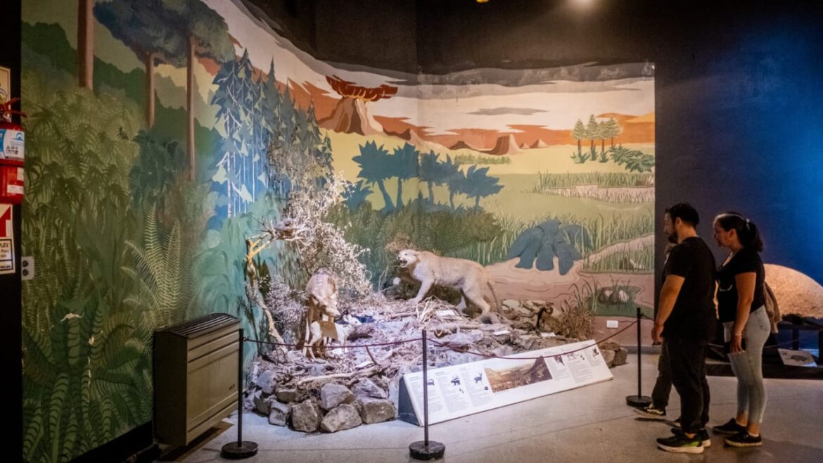 Programación de marzo en el Museo Scaglia: historia natural, muestras y actividades especiales 