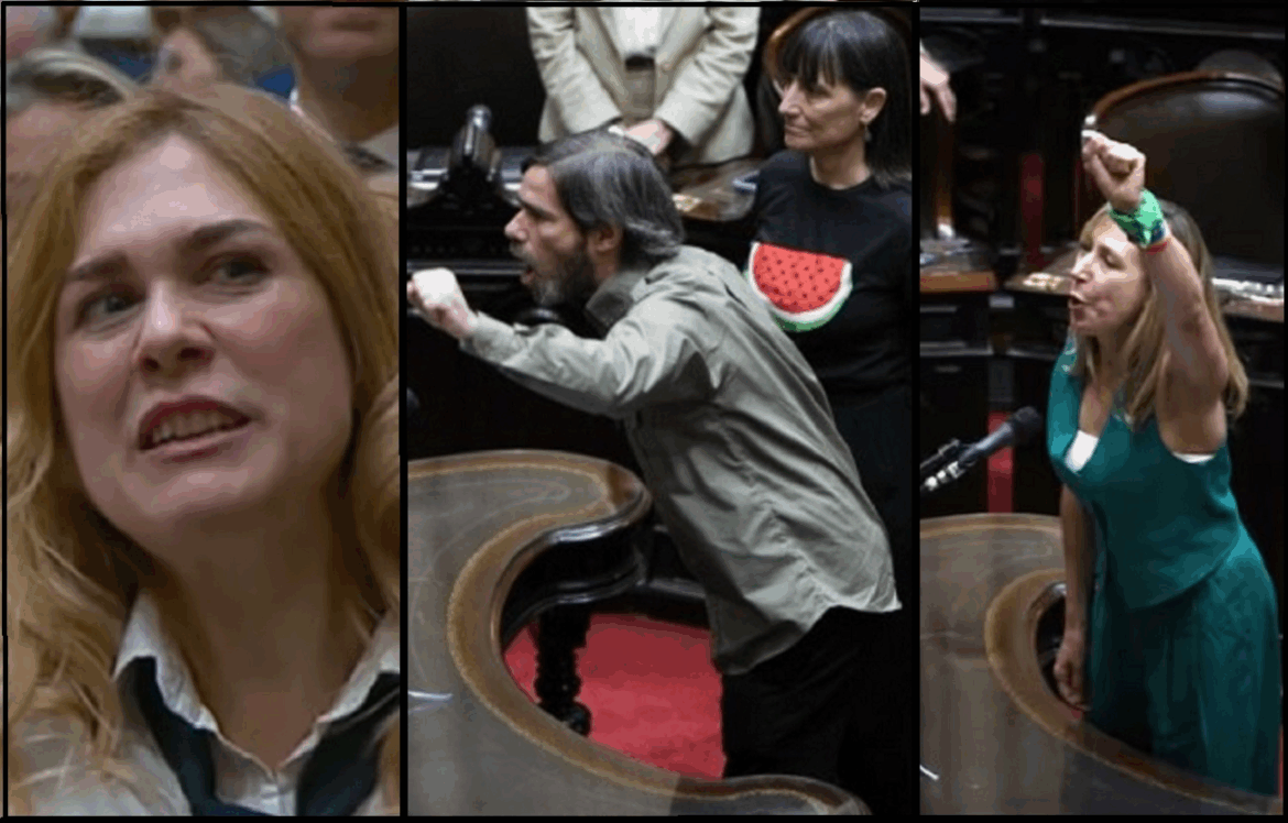 🏛️ Nuevo Mapa Político en Diputados: cómo quedaron repartidas las bancas tras la jura de legisladores