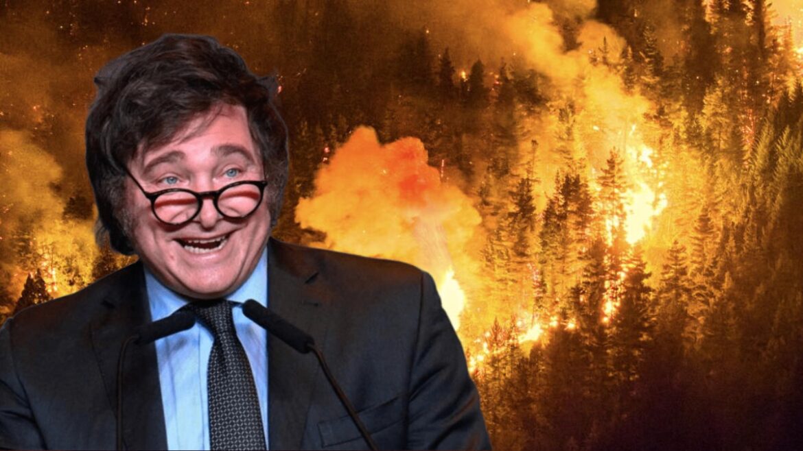 Mientras la Patagonia arde, Milei profundiza el ajuste y reduce el presupuesto del Servicio Nacional de Manejo del Fuego