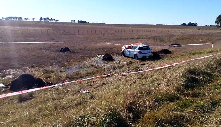Tragedia en Ruta 3: un muerto y tres heridos tras un despiste y choque contra ganado cerca de Benito Juárez