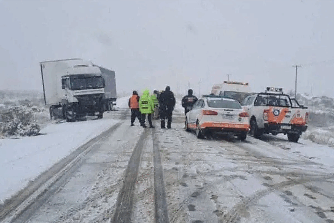 Milagro en la nieve: un peón rural fue rescatado tras ser salvado por sus perros en Río Negro