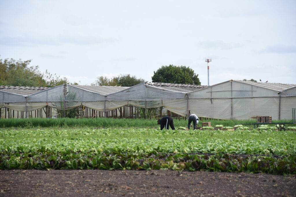 La Plata: El Municipio completó el Relevamiento Florihortícola Platense 2025