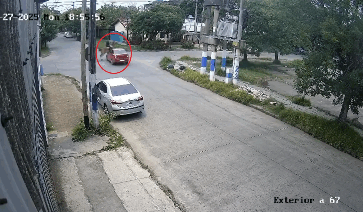 Atropellaron a un jinete en La Plata y el conductor se dio a la fuga