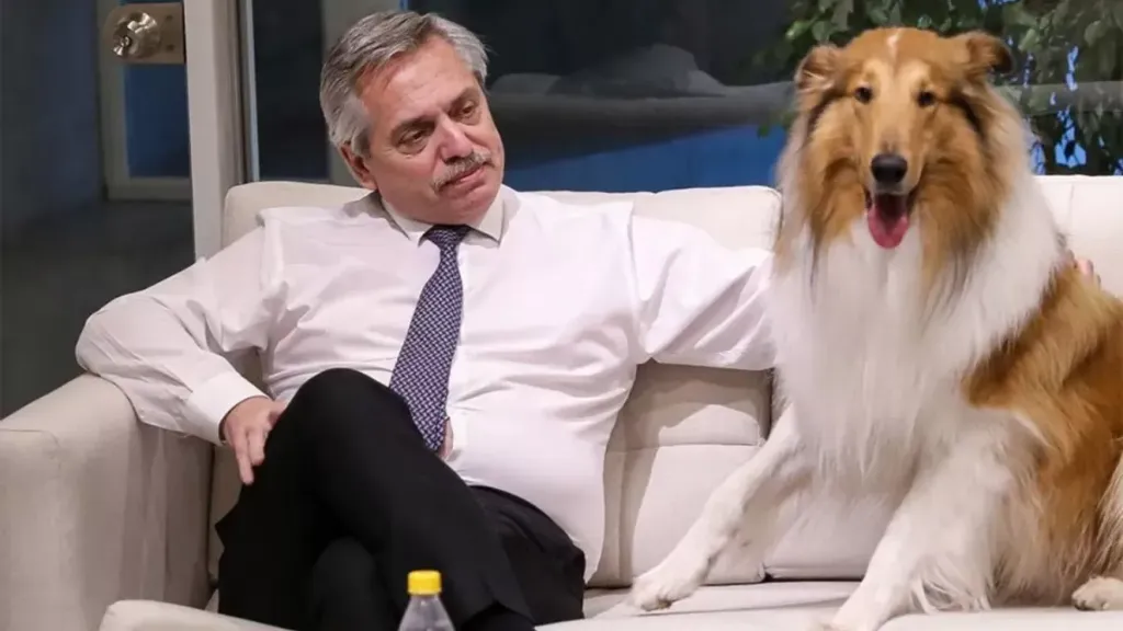 Murió Dylan, el perro del expresidente Alberto Fernández: “Gracias por tanto amor”