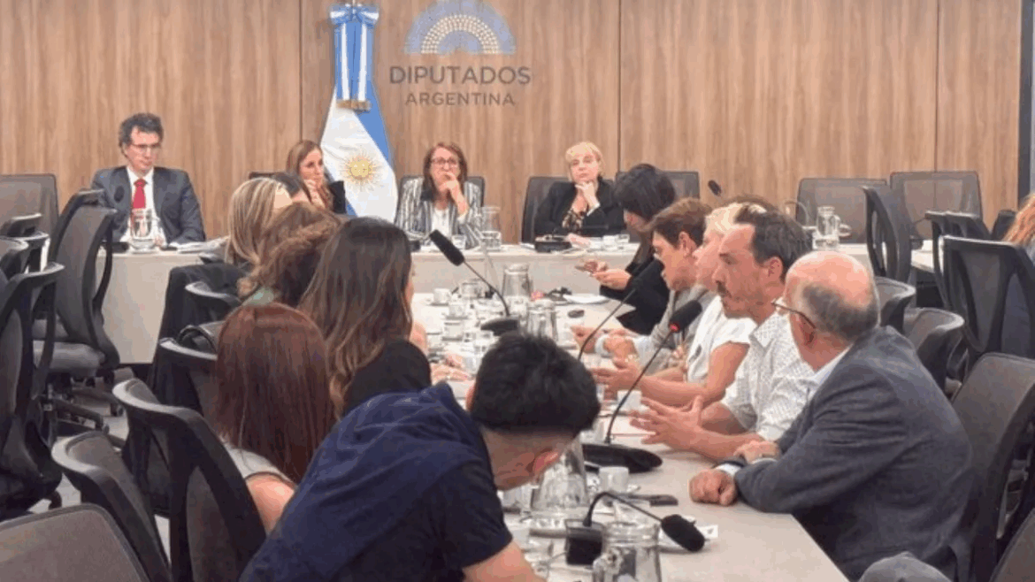 Diputados presentarán el informe final sobre el caso de fentanilo contaminado: análisis y 20 recomendaciones clave