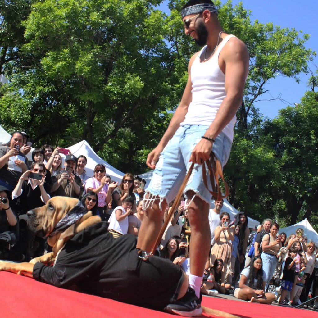 Gran desfile de mascotas: cuándo, dónde es y qué se podrá hacer