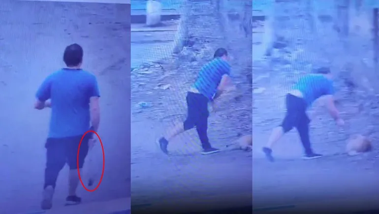 Neuquén: imputaron a un hombre por golpear brutalmente a un perro con una barra de hierro