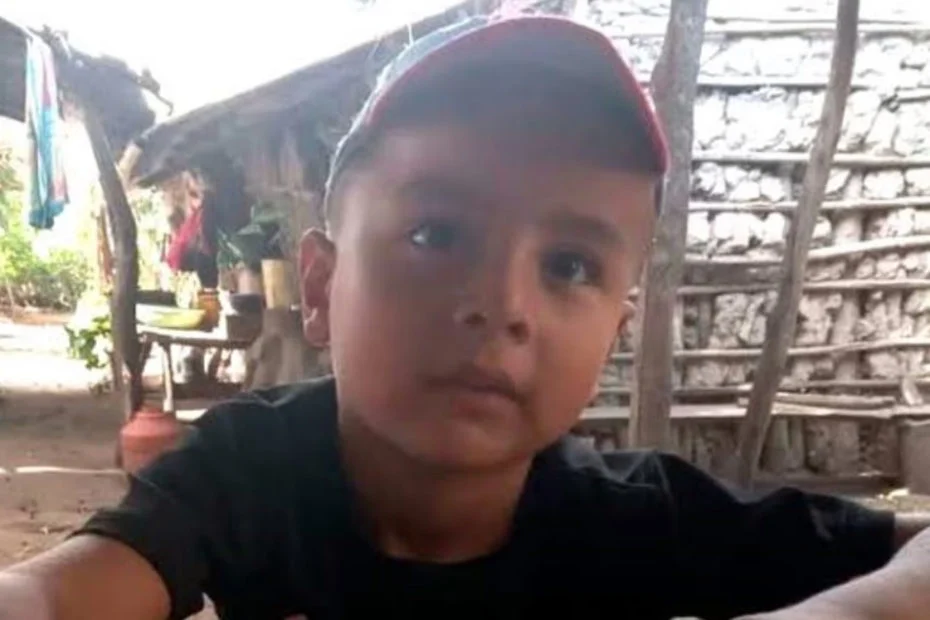 Caso Loan: investigadores de la Policía Federal sostuvieron que al niño “se lo llevaron”