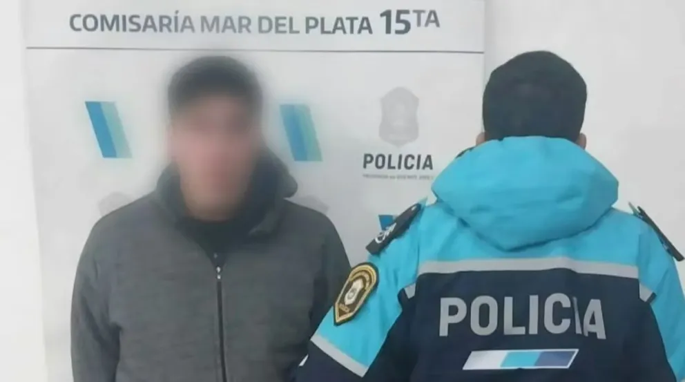 Brutal ataque en Mar del Plata: una mujer fue golpeada con un martillo y detuvieron a un sospechoso