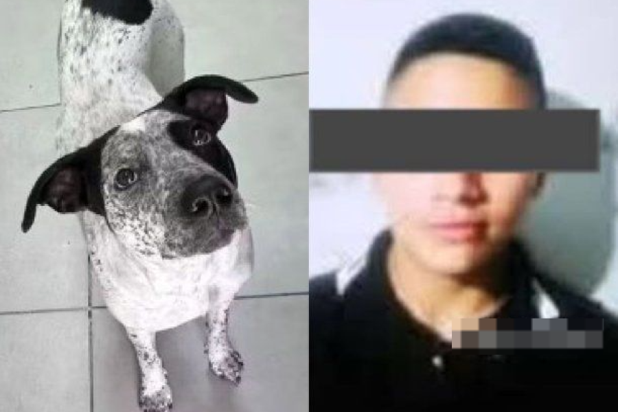 Quién es Tomás Agustín Seco, el policía investigado por la muerte de Manchita en Floresta