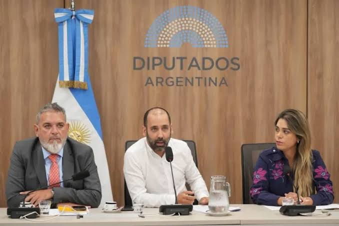 Hagman cuestionó los acuerdos políticos tras la caída de la sesión por el DNU 70 y defendió la Ley de Tierras