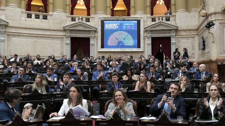 Diputados aprobó la ley de Discapacidad y restituyó la Ley de Tierras: los proyectos vuelven al Senado